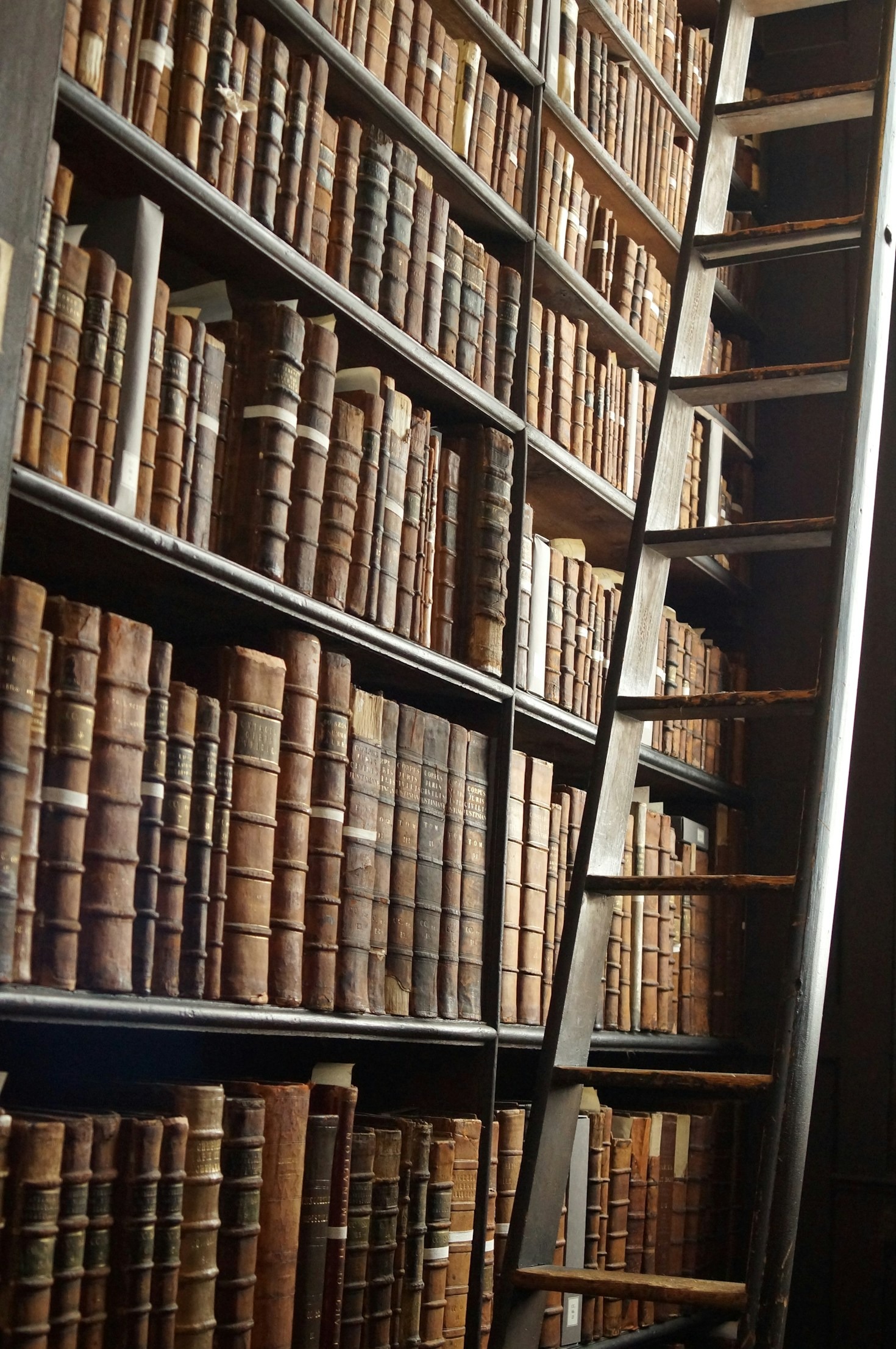 The Future of Education: Trends and Insights