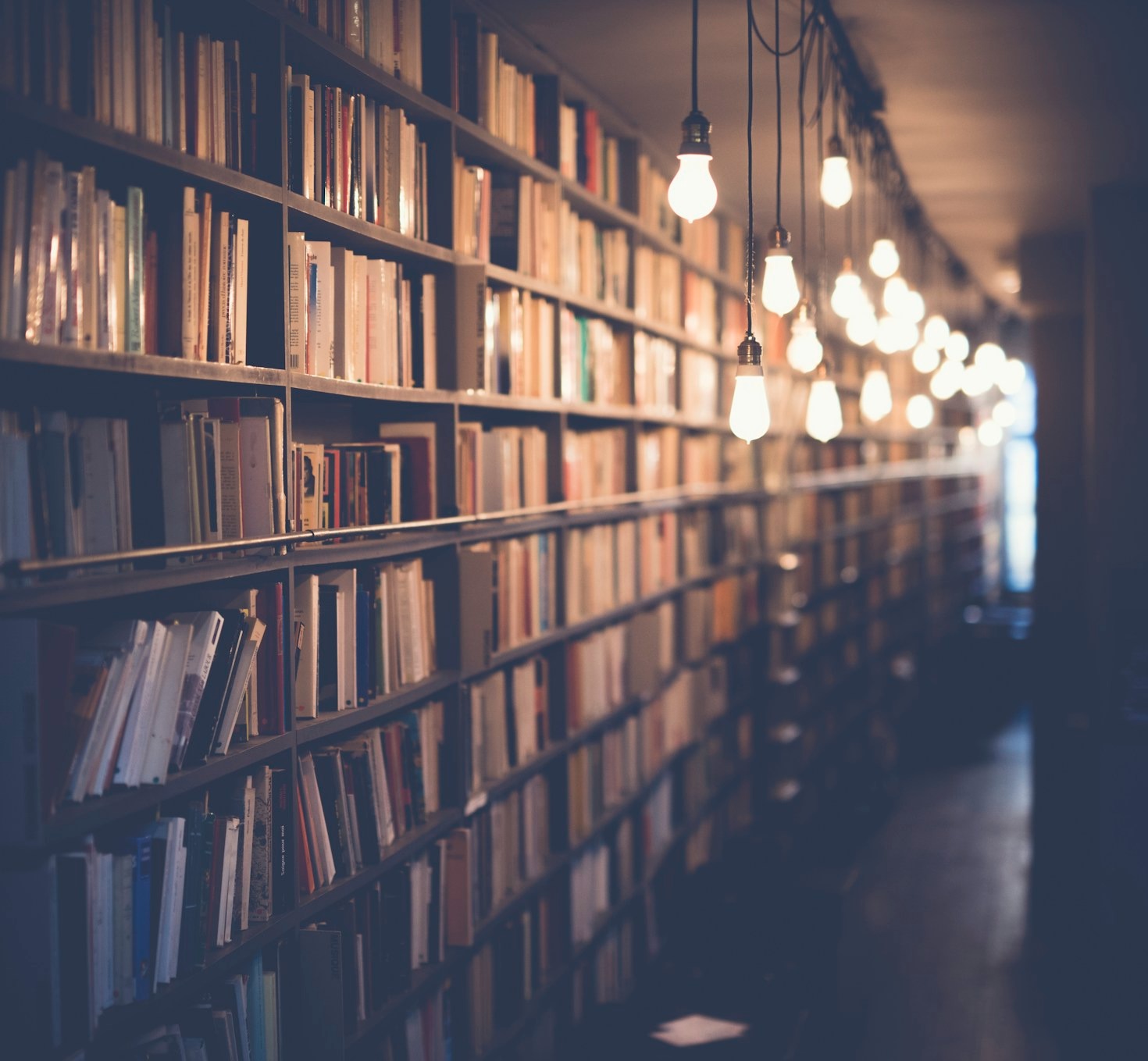 How Education Shapes Tomorrow’s Leaders